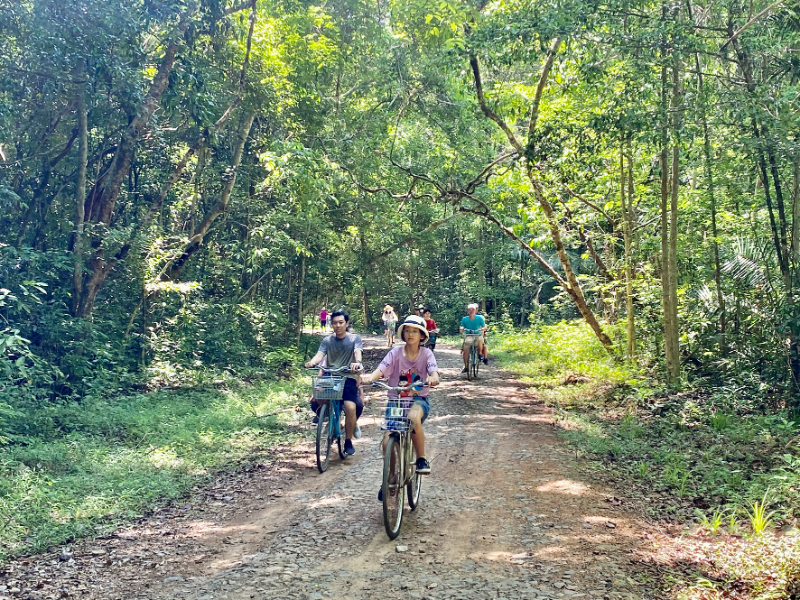 Những chuyến đạp xe xuyên rừng sẽ mang tới cho bạn trải nghiệm hoàn toàn khác biệt